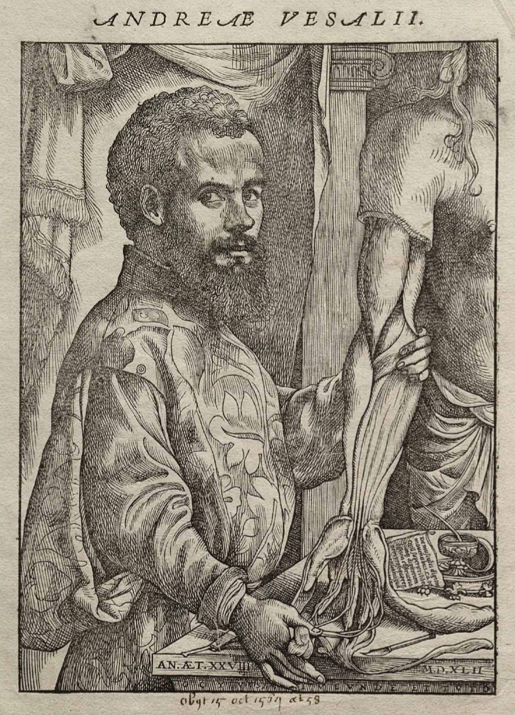 Andreas Vesalius — retrato em xilogravura da De humani corporis fabrica, 1543